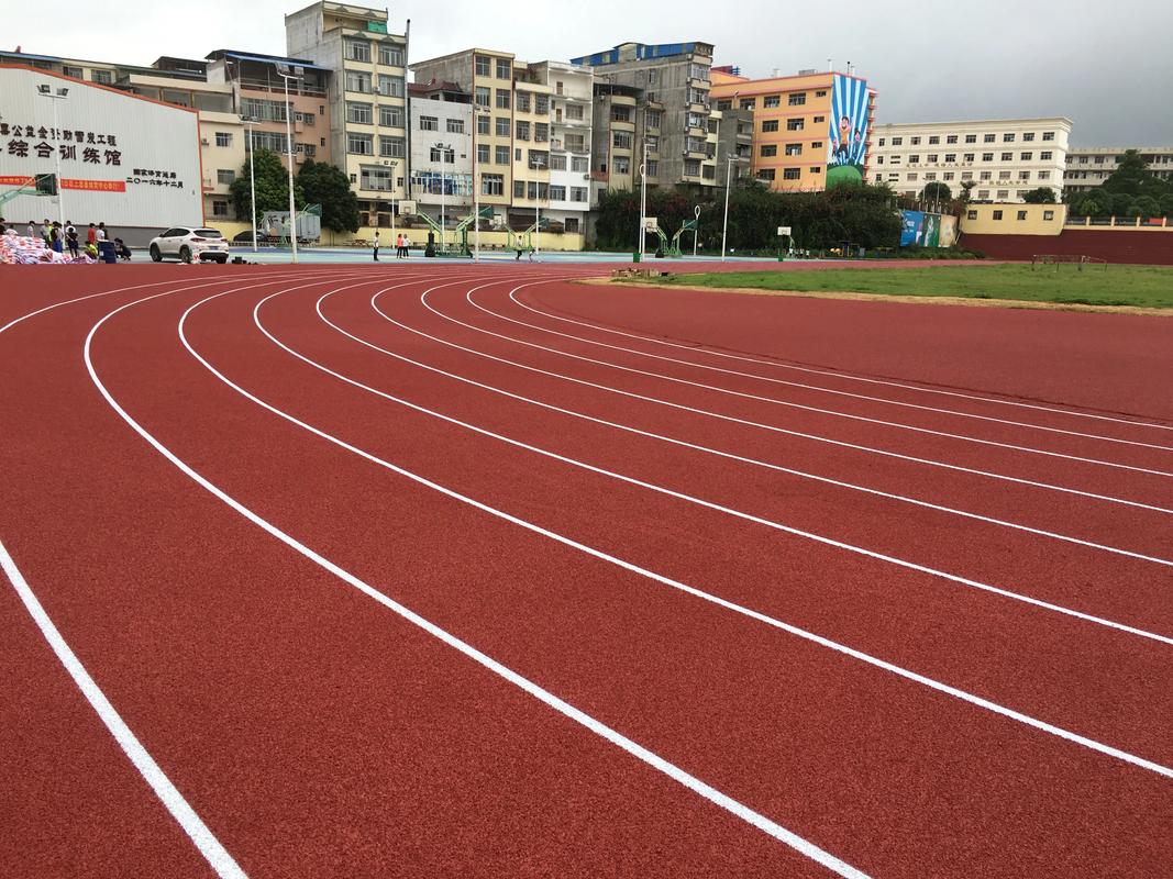 临汾市学校塑胶跑道塑胶跑道材料 - 方案
